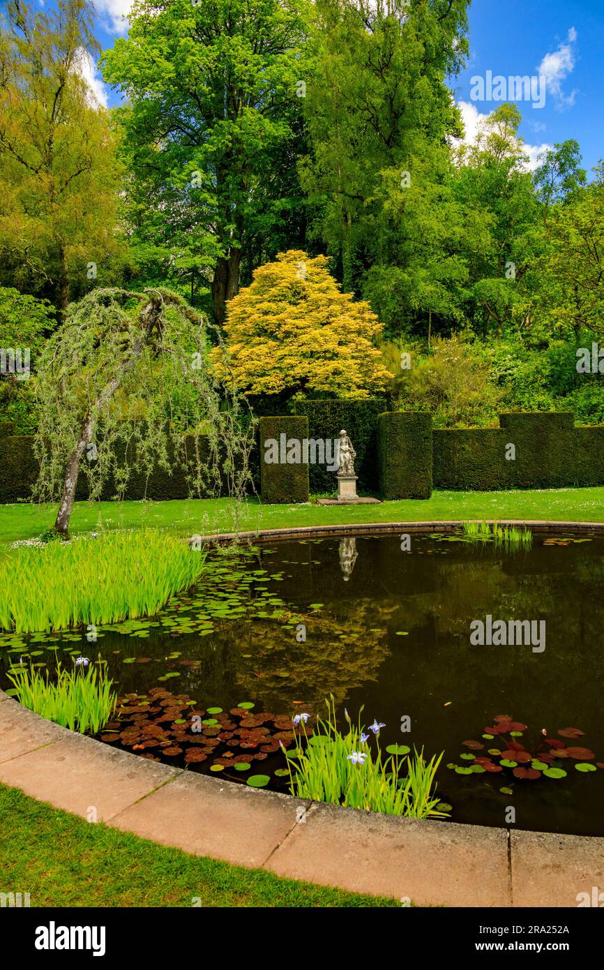Die friedliche Ruhe der ruhigen Gewässer im kreisförmigen Pool Garden am Knightshayes Court, nr Tiverton, Devon, England, Großbritannien Stockfoto