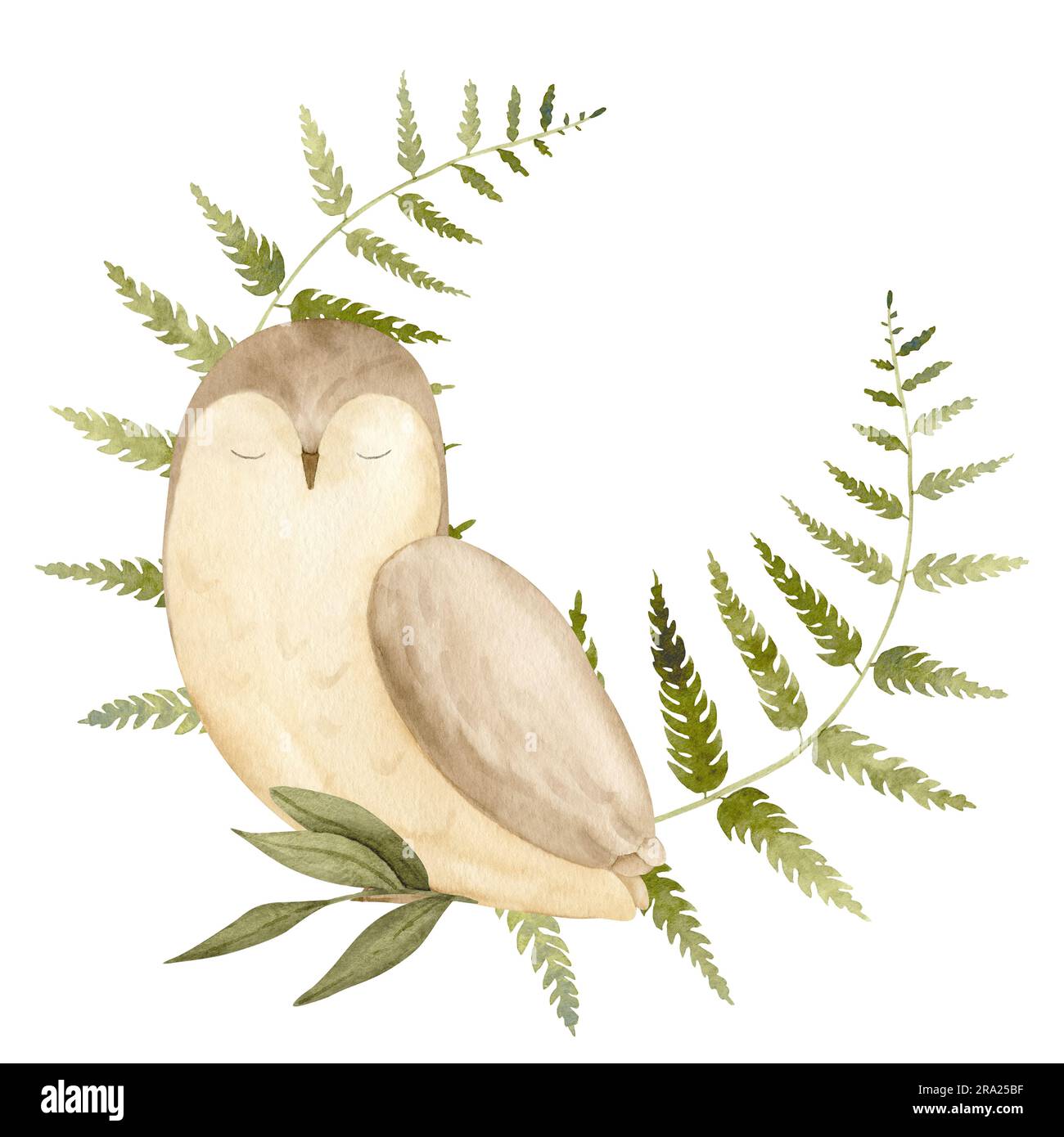 Eule mit dem Kranz von Fern. Handgezeichnete Aquarelldarstellung von Waldvögeln und Waldpflanzen auf weißem isoliertem Hintergrund. Niedlicher runder Rahmen für Grußkarten oder kindliche Einladungen. Stockfoto