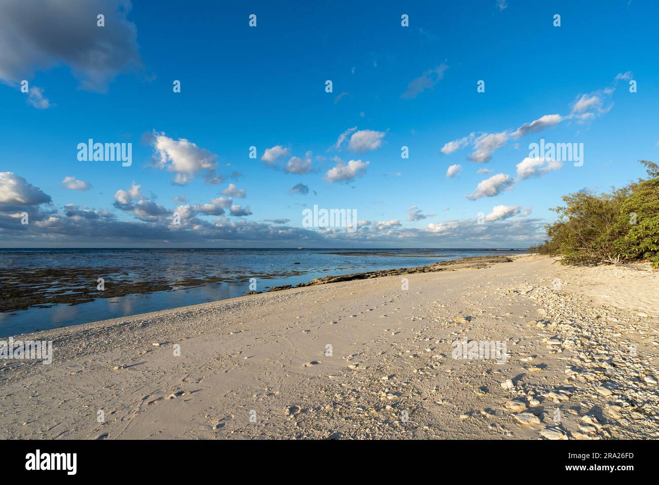 Korallenlagune rund um Lady Elliot Island, Great Barrier Reef, Queensland, Australien Stockfoto