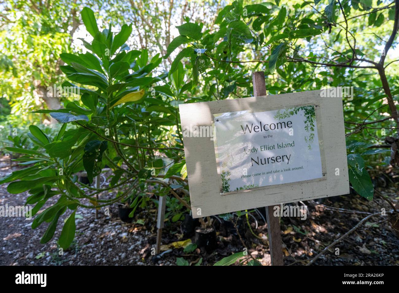 Hinweisschild für die Baumschule mit einheimischen Pflanzen, Lady Elliot Island, Queensland, Australien Stockfoto