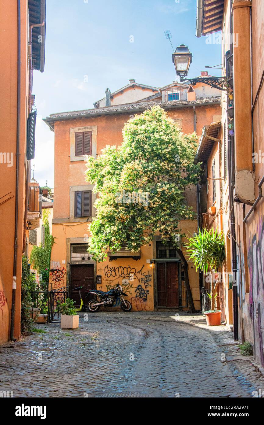 Straße Trastevere, Rom ein ruhiger Morgensommer. Stockfoto