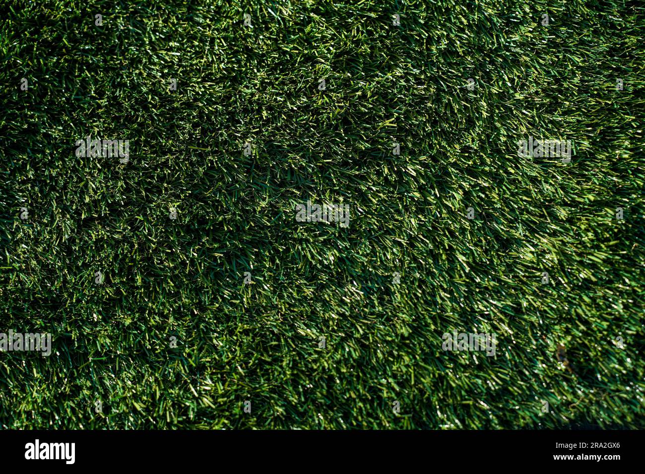 Grüne Grasstruktur, chile Stockfoto