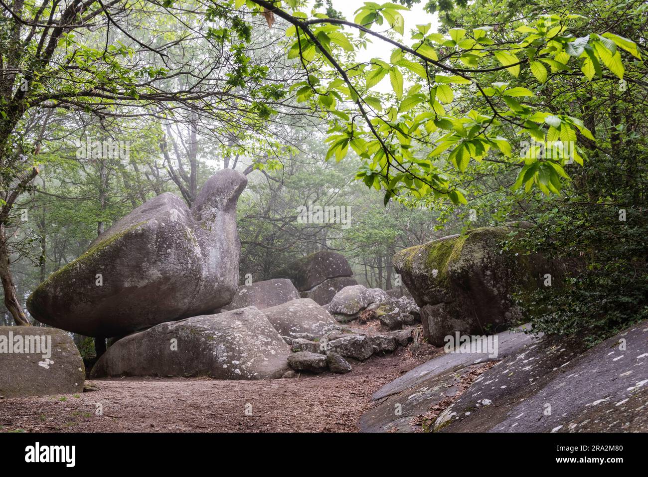 Frankreich, Tarn, Lacrouzette, Haut Languedoc Regional Natural Park, Granitplateau von Sidobre, Roc de l'Oie Stockfoto