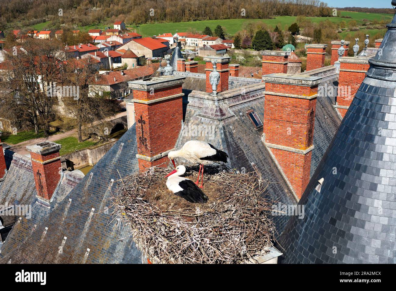 Frankreich, Meurthe et Moselle, Saintois, Haroué, Weißstorche (Ciconia ciconia), die in ihrem Nest auf der Burg Haroué grübeln (Luftaufnahme) Stockfoto