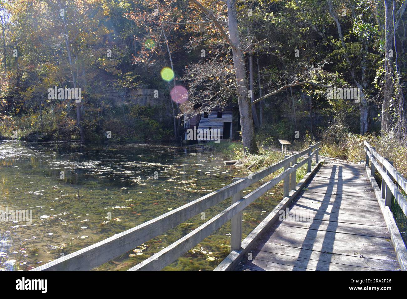 Herbstfrühling im Mark Twain National Forest in Missouri. Es gibt einen kleinen Park, eine alte Hütte, eine Mühle und die Quelle selbst. Stockfoto