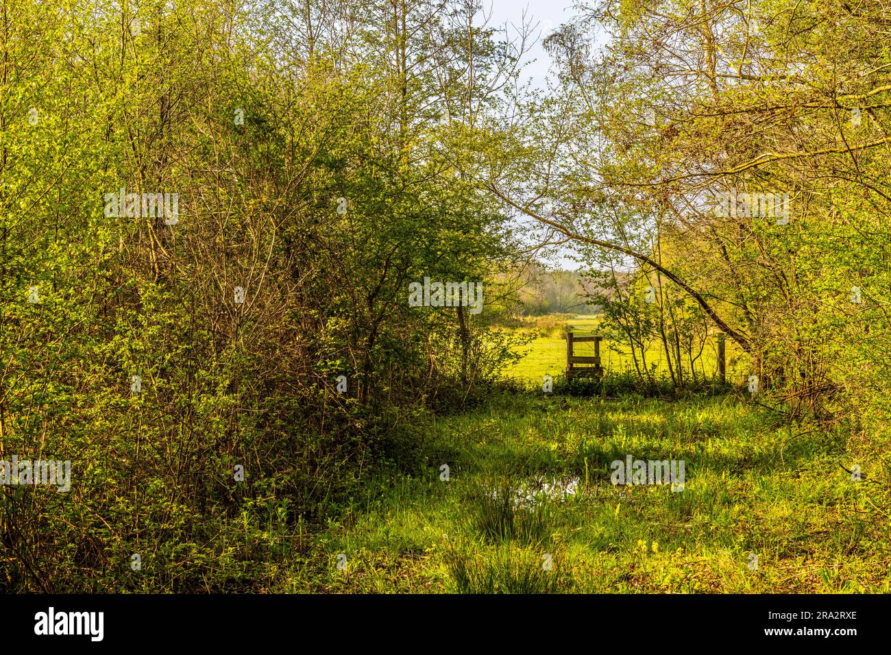 Wertvolle reserve Fotos und Bildmaterial in hoher Auflösung Alamy