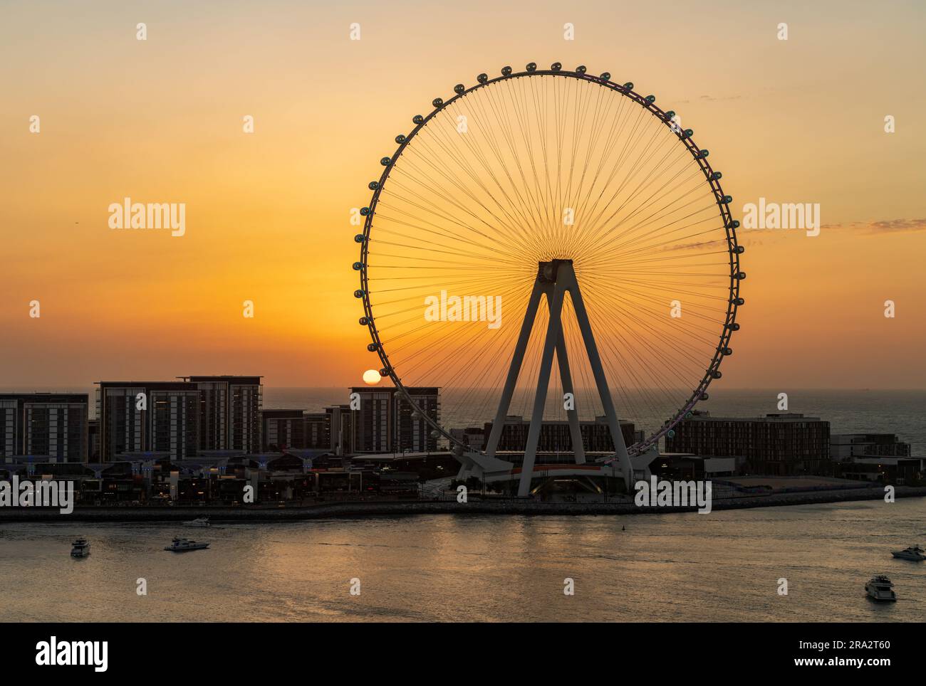 Sonnenuntergang hinter Ain Dubai oder Dubai Eye Observation Wheel auf Bluewaters Island vor der Küste am JBR Beach Stockfoto