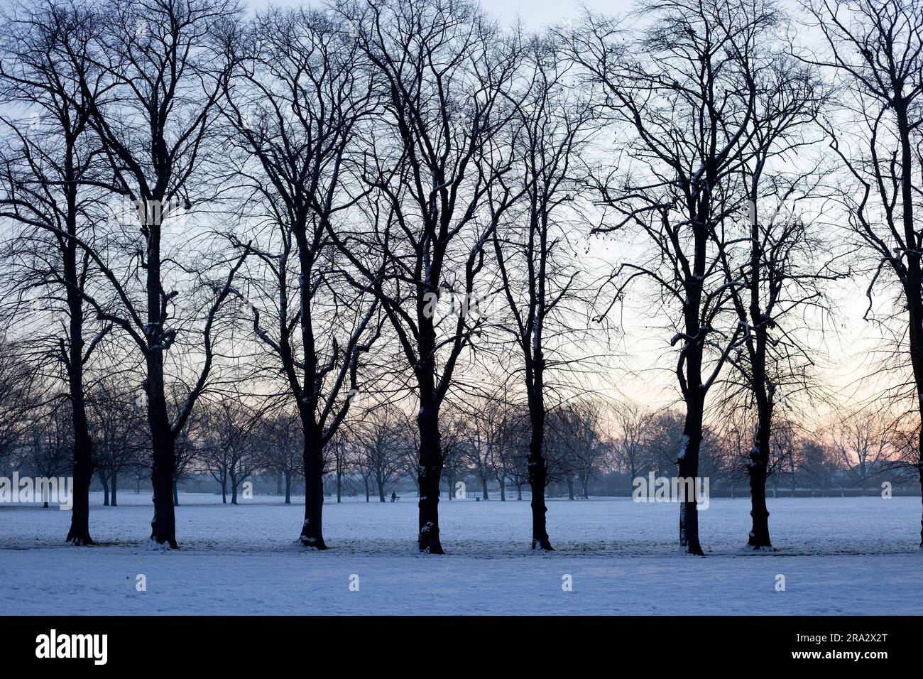 Ein schneebedeckter Park in Ilford, East London. Stockfoto