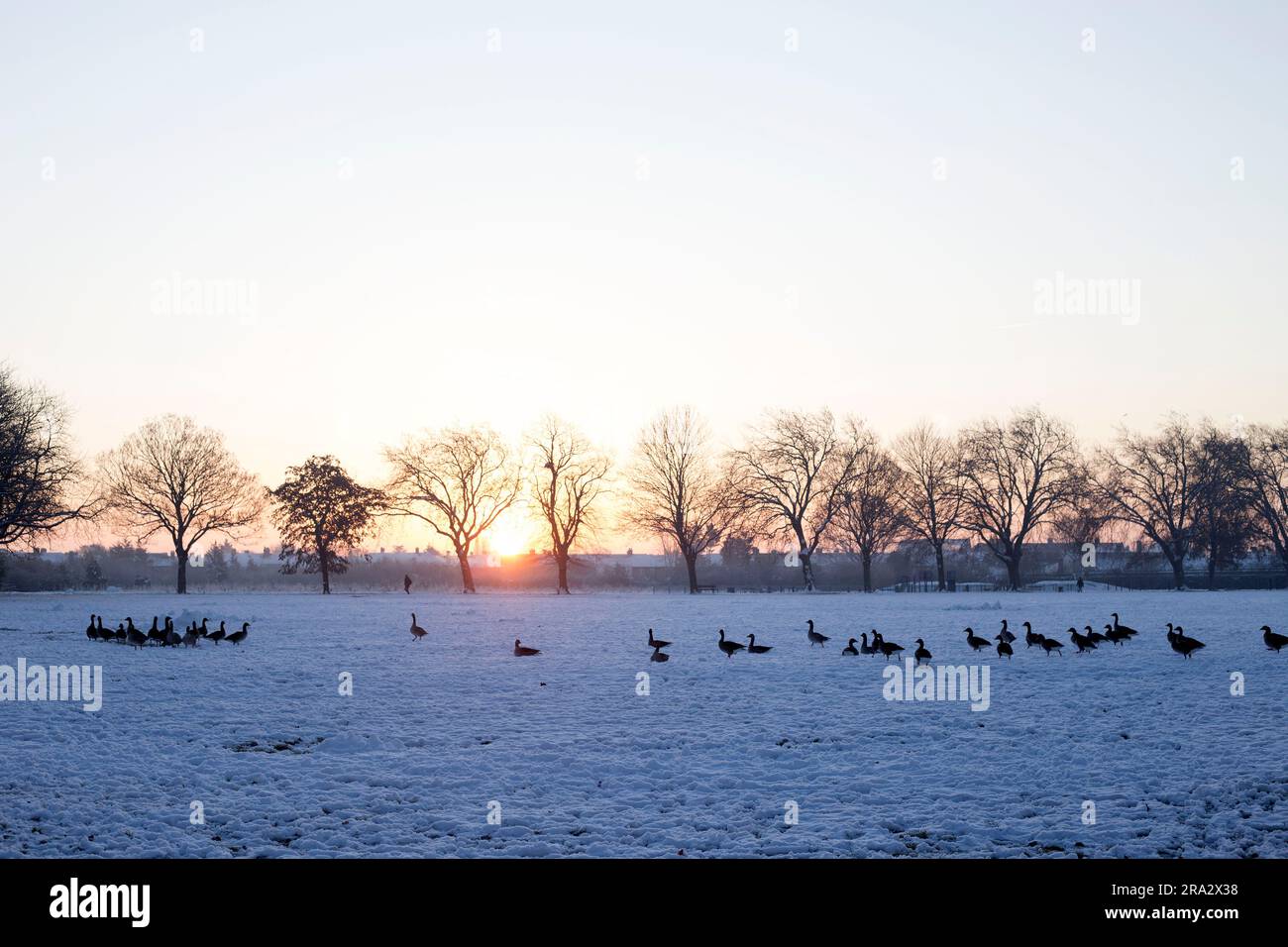 Ein schneebedeckter Park in Ilford, East London. Stockfoto