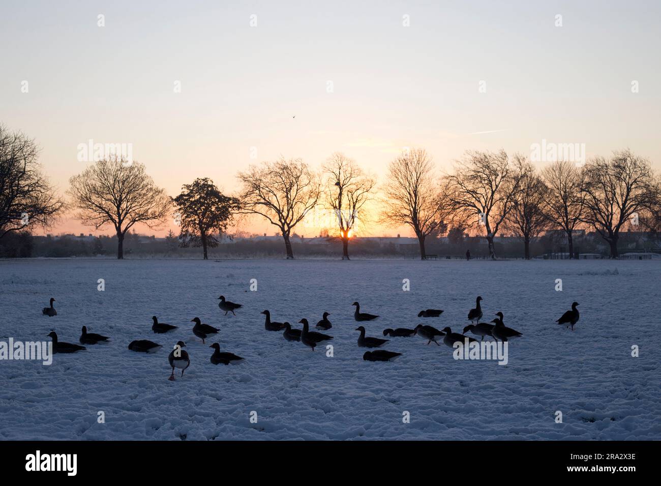 Ein schneebedeckter Park in Ilford, East London. Stockfoto