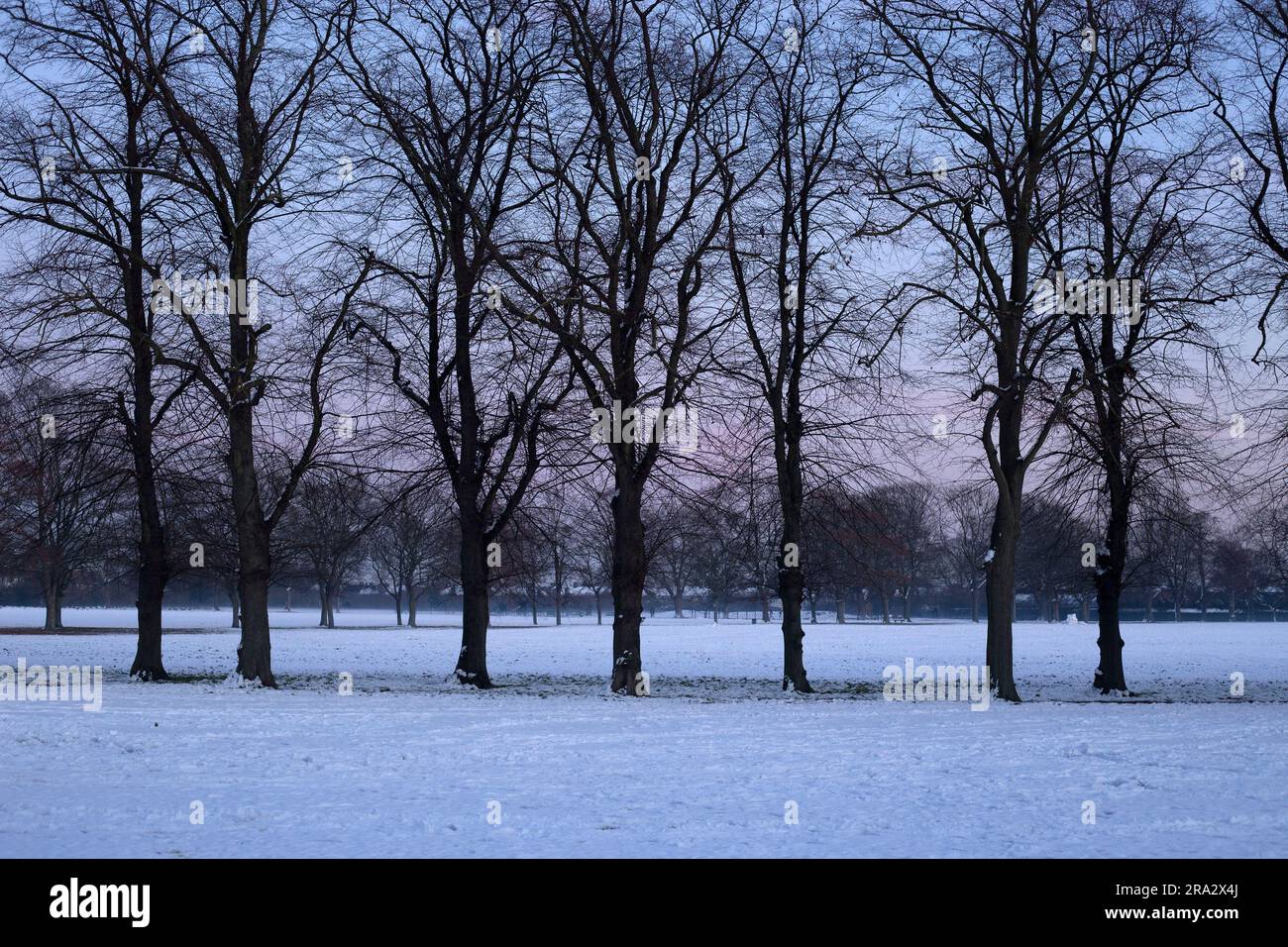 Ein schneebedeckter Park in Ilford, East London. Stockfoto