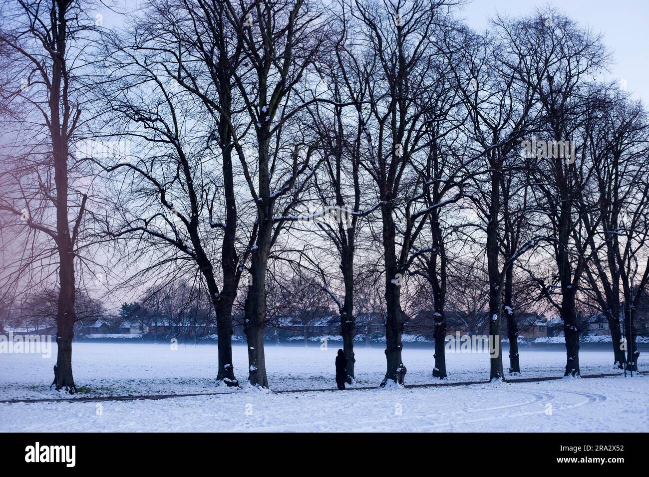 Ein schneebedeckter Park in Ilford, East London. Stockfoto