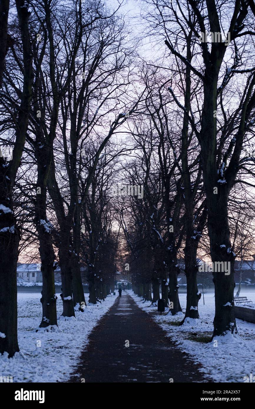 Ein schneebedeckter Park in Ilford, East London. Stockfoto