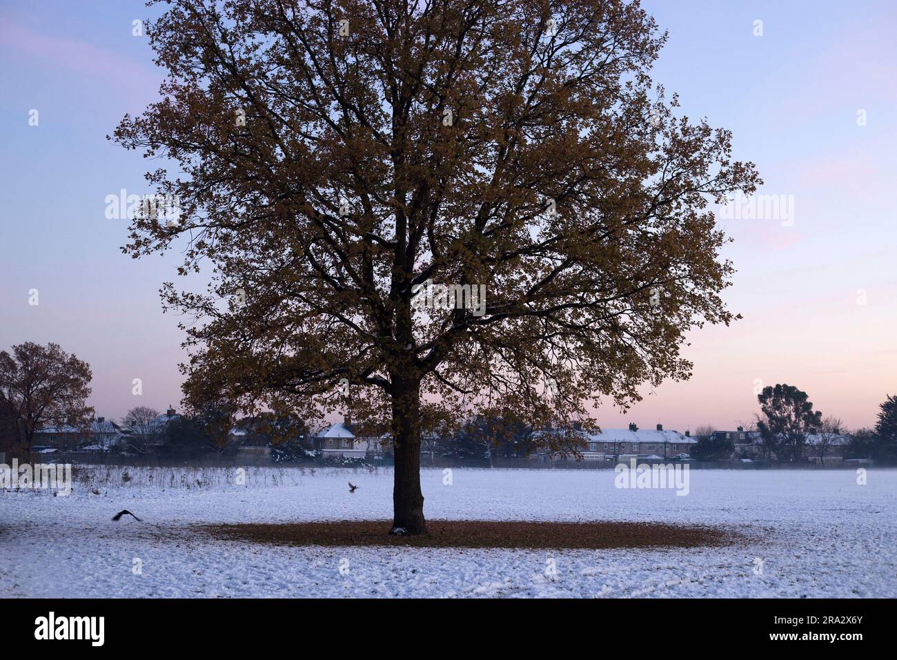 Ein schneebedeckter Park in Ilford, East London. Stockfoto