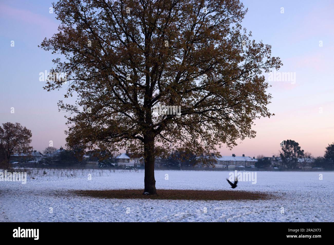 Ein schneebedeckter Park in Ilford, East London. Stockfoto