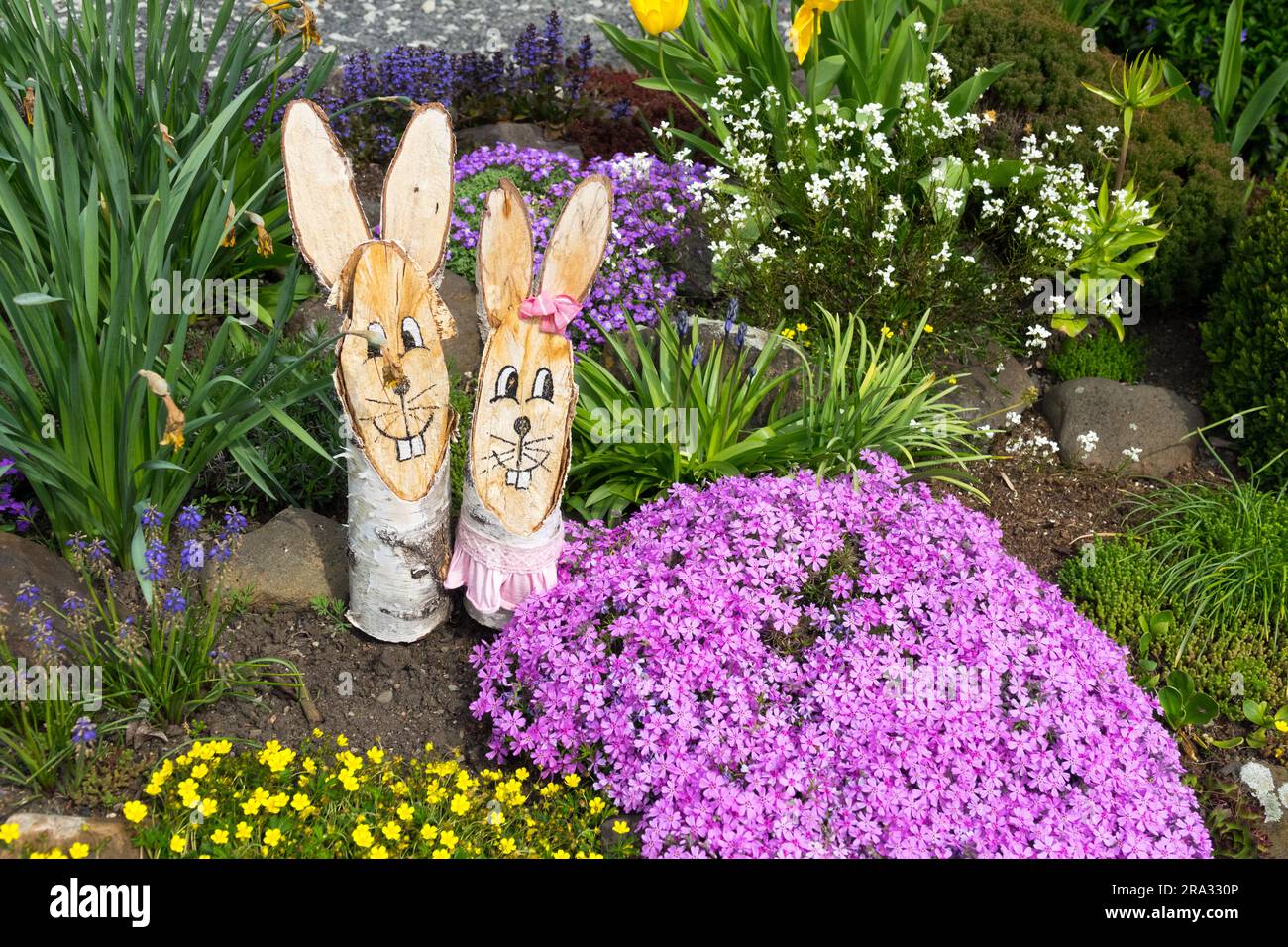 Zwei Hasen im Garten, ein Paar Frühlingshasen Stockfoto