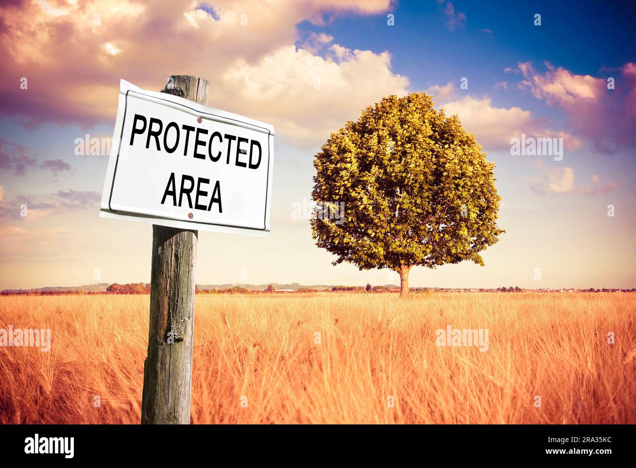 Geschützter Bereich auf einem Feldschild mit einem einsamen Baum in einem goldenen Weizenfeld - Schild auf dem Land - Konzeptbild. Stockfoto