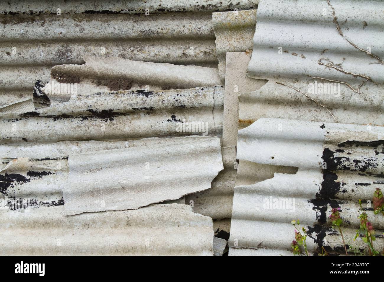Stapel Von Alten Zerbrochenen Asbestzementplatten, Die Sich Aneinander Stapeln. Toxisch, krebsverursachend Lungenprobleme und Asbestose, England, Großbritannien Stockfoto