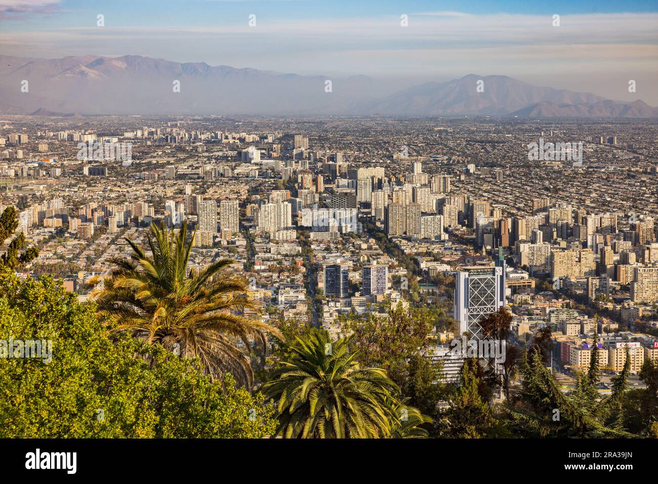 Abendliche Atmosphäre mit Palmen und spektakulärem Blick auf die Stadt Santiago de Chile auf die Stadt und die Anden vom Aussichtspunkt Cerro San Cristo Stockfoto