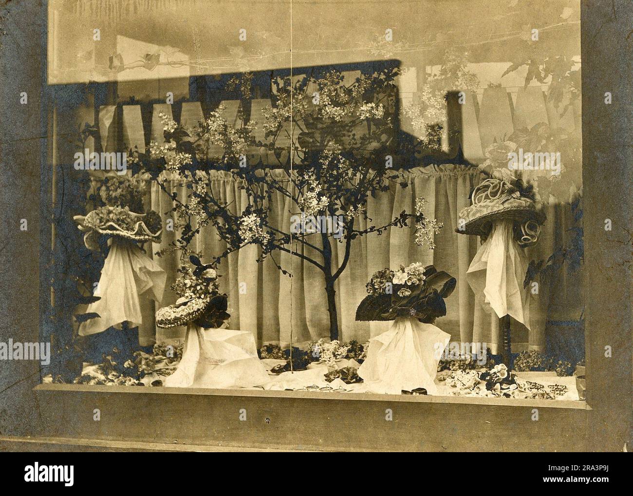 Millinery Anfang der 1900er Jahre, Hut Shop Schaufenster, Vintage Frauen Hüte, Jahrhundertwende Stockfoto