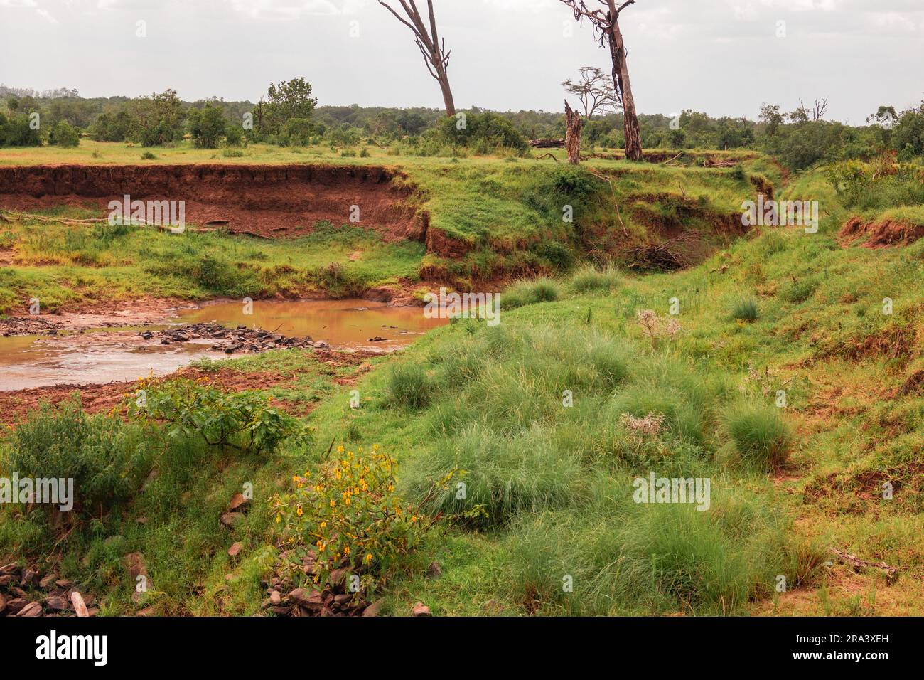 Der Fluss Ewaso Nyiro wurde im Ol Pejeta Conservancy in Nanyuki, Kenia, gesehen Stockfoto
