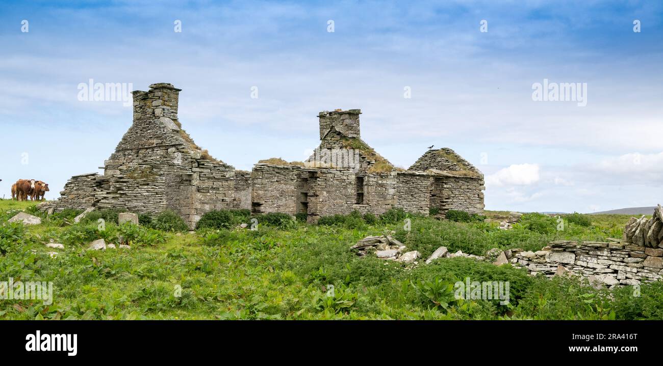 Ruinen eines alten Crofters Cottage auf den Orkney Isles, Schottland, Großbritannien. Stockfoto