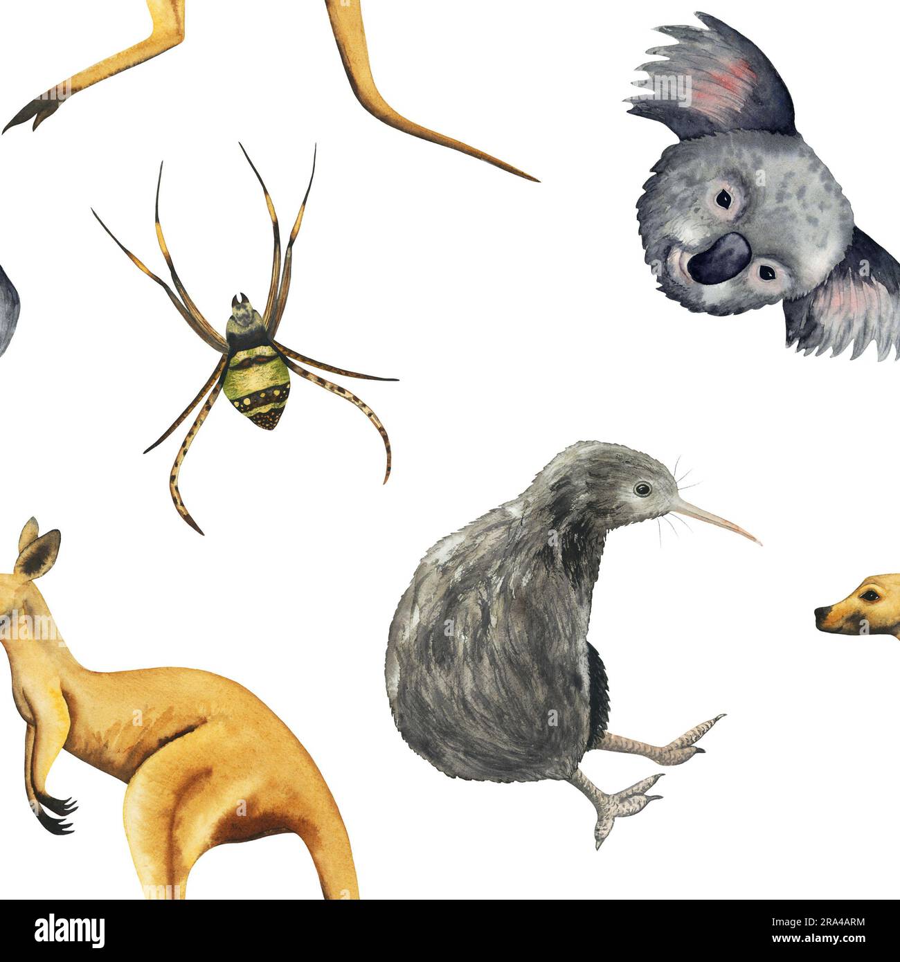 Tiere in Aquarellfarben nahtloses Muster mit Koala, Känguru, Spinne, Kiwi-Vogel isoliert auf Weiß. Für Kinder, Geschenkpapier, Tierhintergrund Stockfoto
