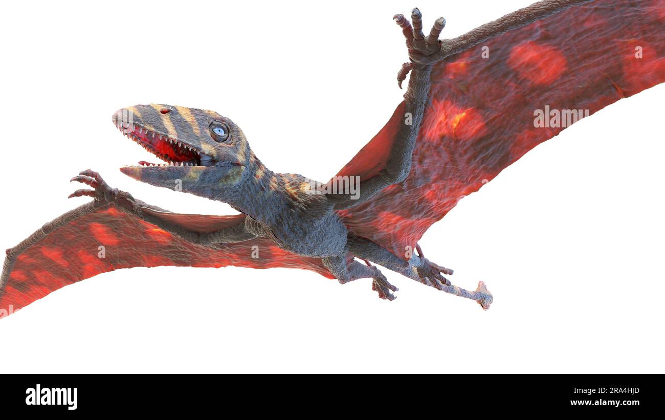 Peteinosaurus pterosaur, Illustration Stockfoto