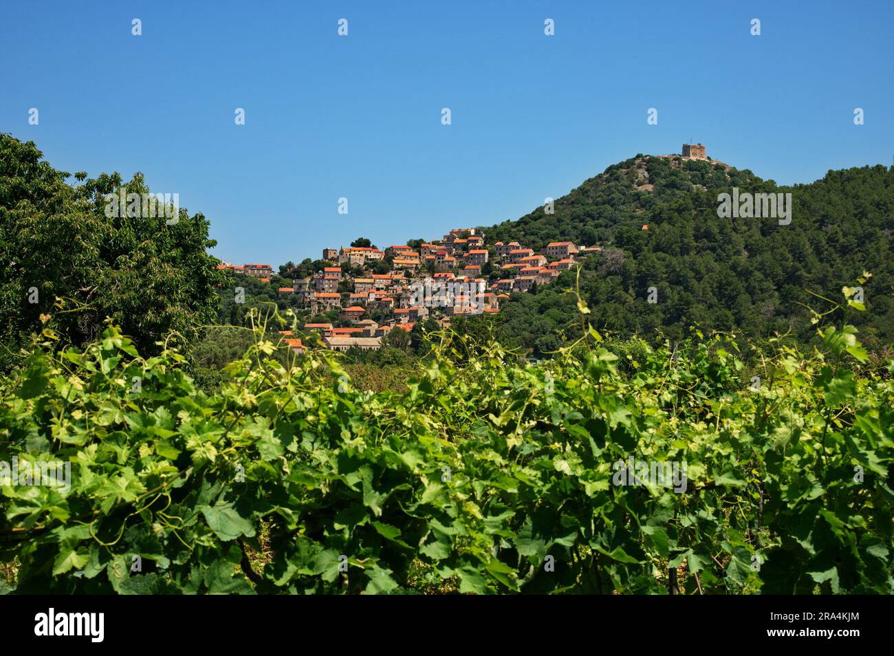 Traditionelle Häuser in Lastovo, einer kleinen Stadt auf der Insel Lastovo mit Weinbergen davor Stockfoto