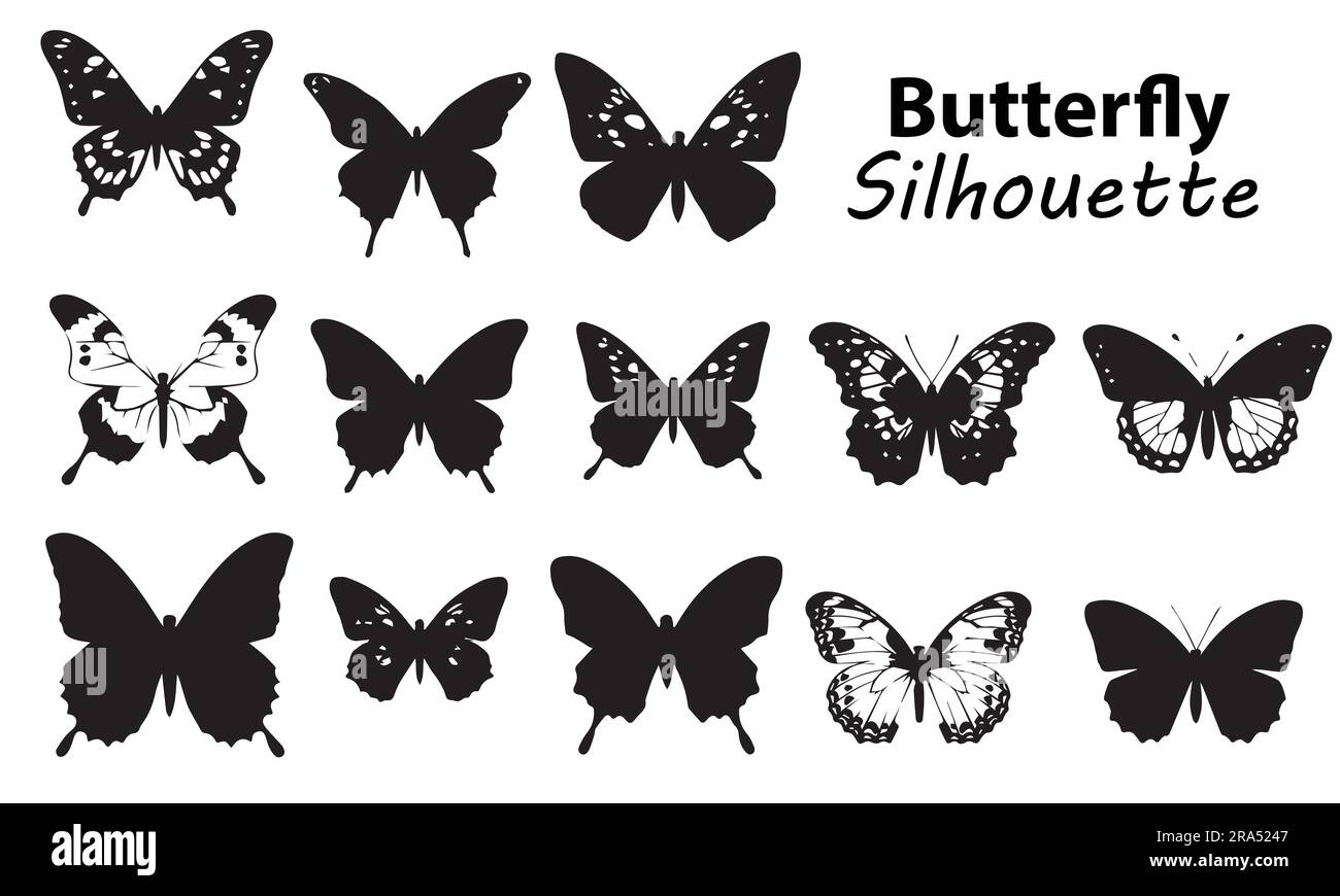 Ein Satz von Silhouetten-Schmetterlings-Vektordarstellungen Stock Vektor