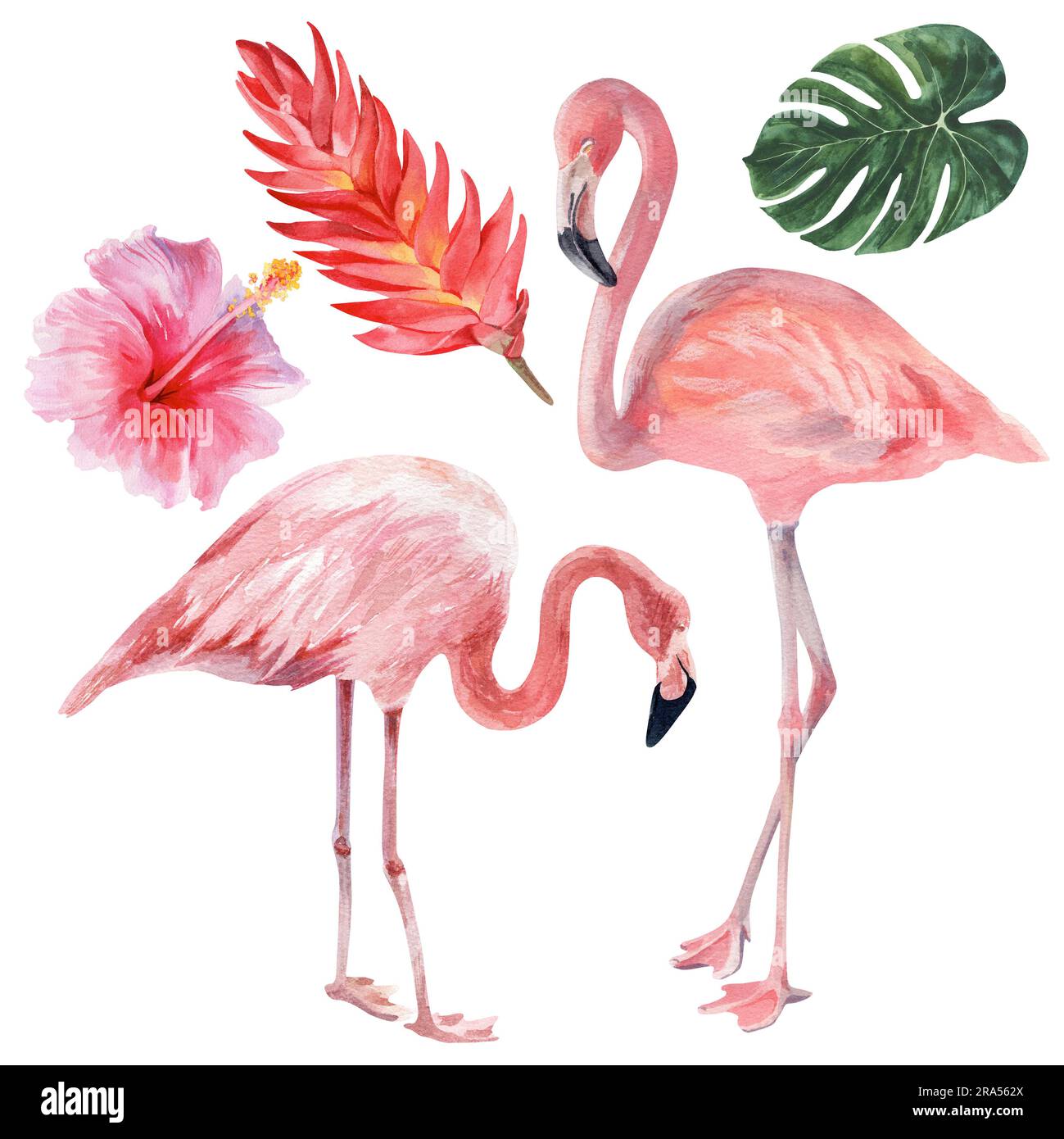 Aquarelle Illustration zum Thema tropische Natur und Strandurlaub. Flamingos und exotische Blumen. Zeichnung für das Design von Souvenirs, Postkarte Stockfoto