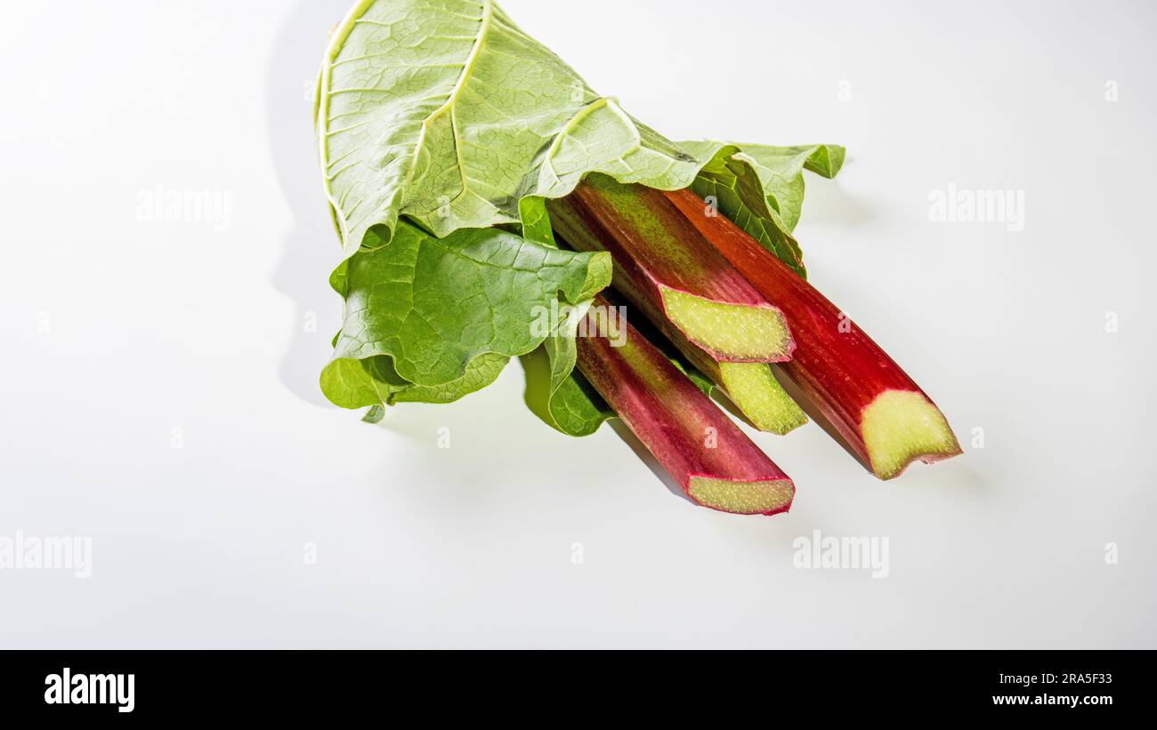 Gesundes Essen. Rhabarberstiele, die in Blätter auf weißem Hintergrund gewickelt sind. Stockfoto