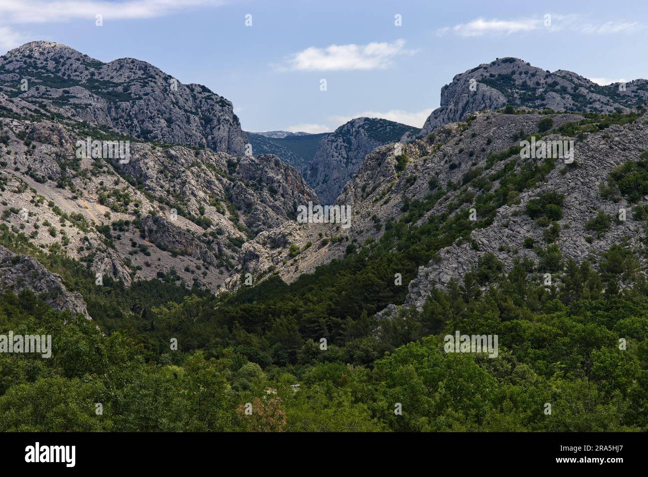 Kalksteinschlucht des Paklenica Nationalparks, Kroatien Stockfoto