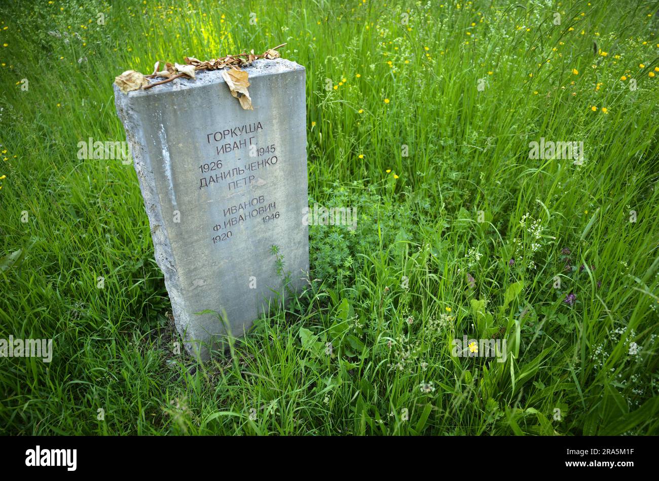 Grabstein für einen Soldaten, gefallen 1945, sowjetischer Ehrenfriedhof für die Rote Armee, Park an der Ilm, Ilmpark, Weimar, Thüringen, Deutschland Stockfoto
