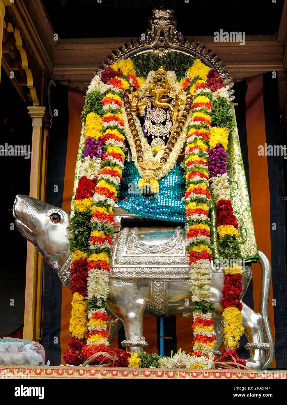 Goldener Ganesha, der während des Vinayak Chaturthi Ganesh Chaturthi Festivals im Sri Karpaga Vinayakar Tempel in auf einem silbernen vahana-Kutschwagen mit Maus befestigt ist Stockfoto