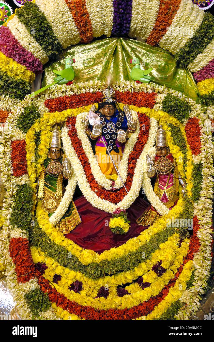 Ausgezeichnet Lord Muruga mit seinen Gefährten Valli Devasena während des Vinayak Chaturthi Ganesh Chaturthi Festivals im Sri Karpaga Vinayakar Tempel in Stockfoto