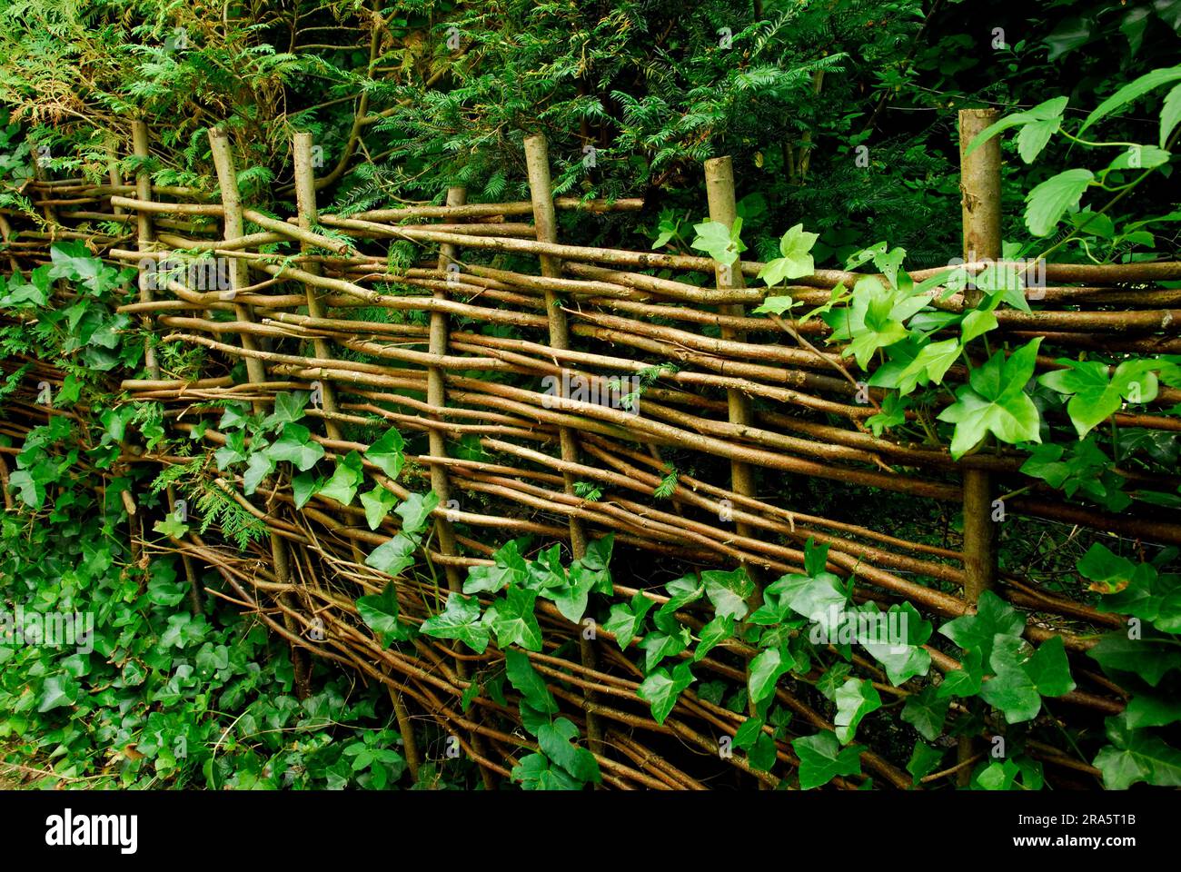 Schlachtzaun, Zaun, Herrenhaus, Upton Grey, Hampshire, England, Großbritannien Stockfoto