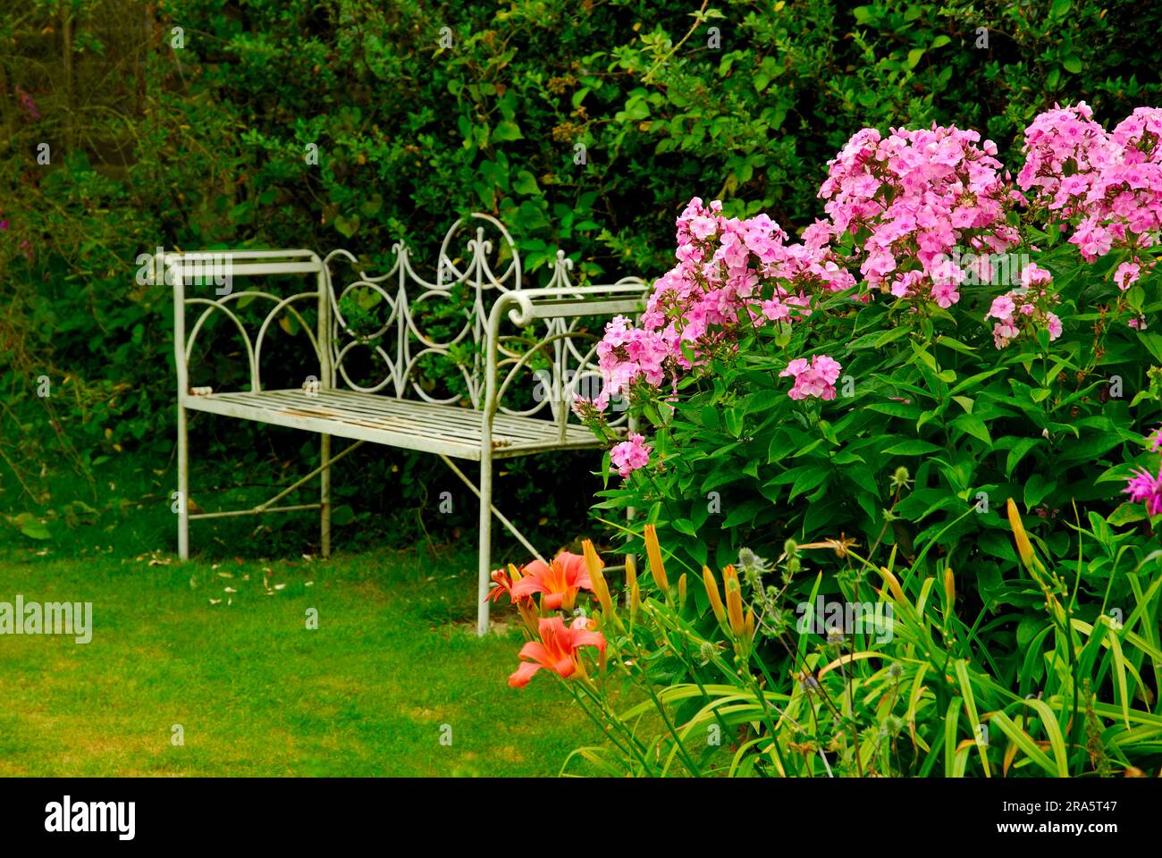 Phlox (Phlox) Gartenbank, Garden of West Silchester Hall, Silchester, Hampshire, England, Großbritannien Stockfoto