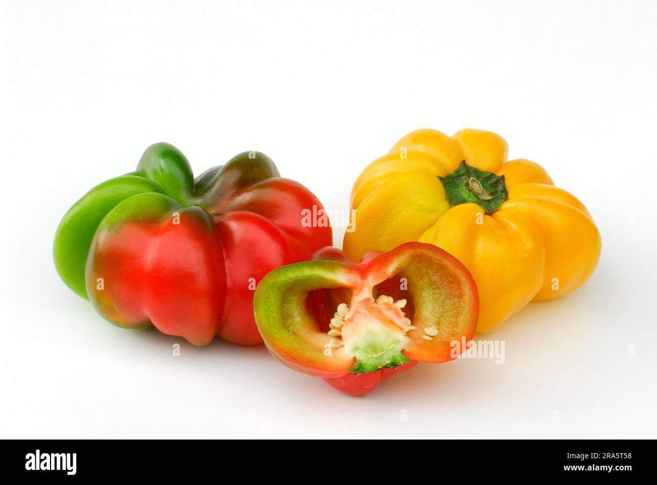 Gemüsepaprika (Capsicum annuum), Gemüsepaprika Stockfoto