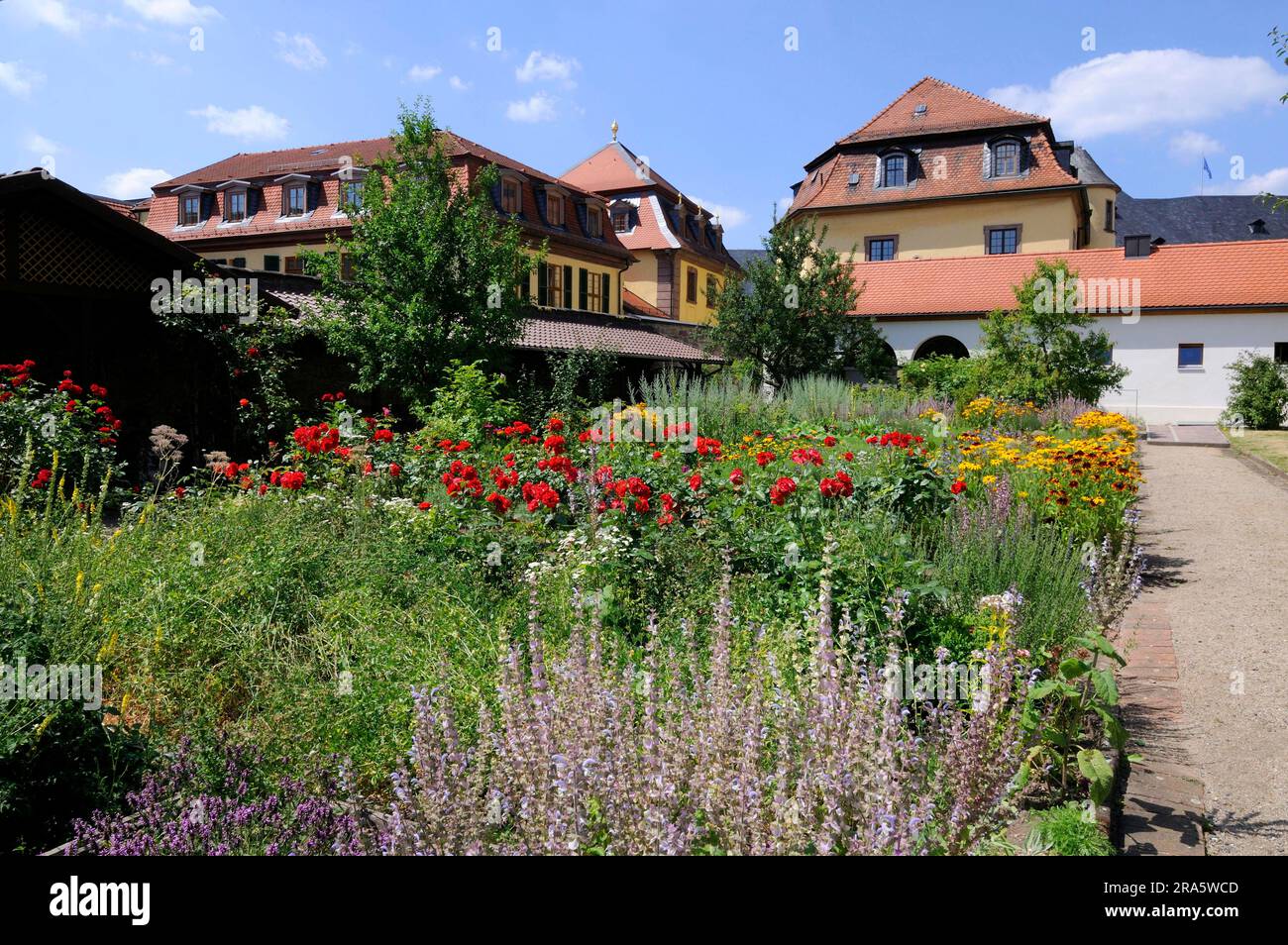 Klostergarten, Kloster Fulda, Fula, Hessen, Deutschland Stockfoto