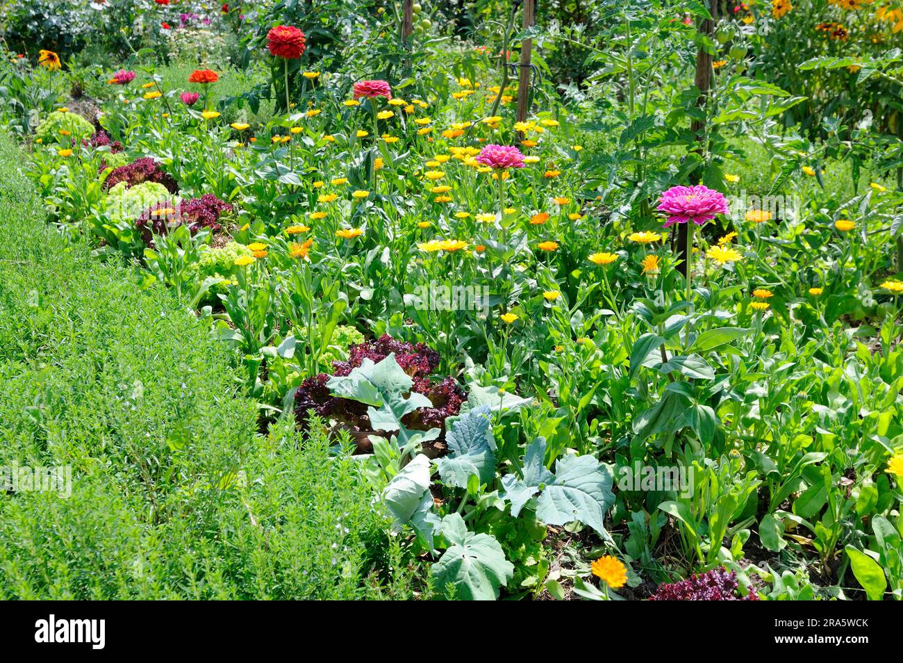 Klostergarten, Kloster Fulda, Fula, Hessen, Deutschland Stockfoto