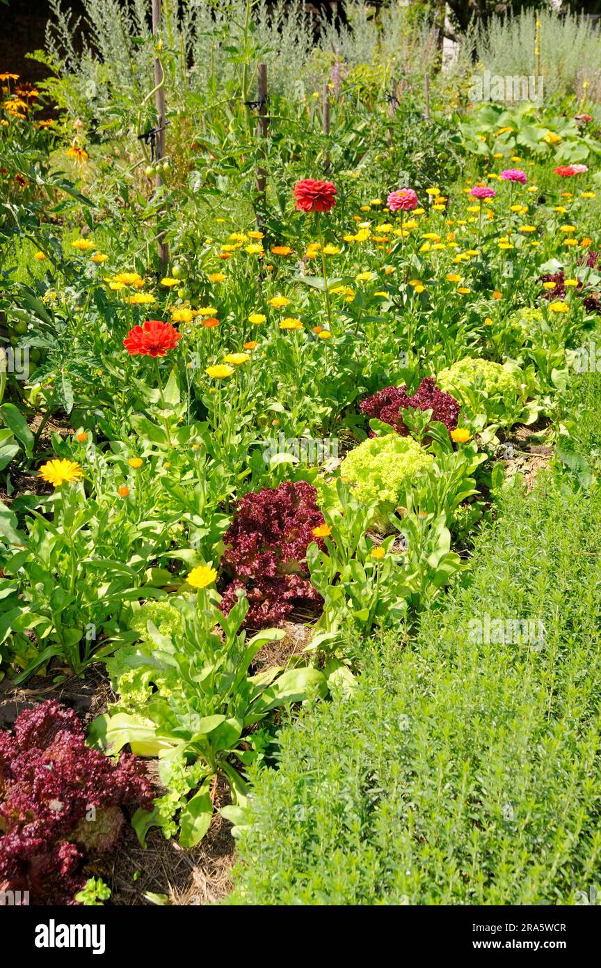 Klostergarten, Kloster Fulda, Fula, Hessen, Deutschland Stockfoto