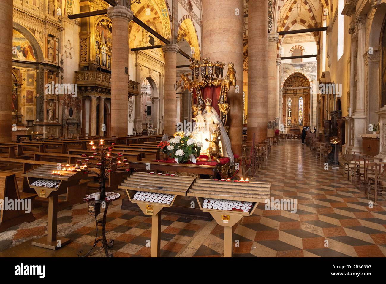 Innere der Basilika Saint Anastasia, Verona Italien, in der ursprünglich aus dem 13. Jahrhundert stammenden italienischen gotischen Kirche; Verona Veneto Italien Europa Stockfoto