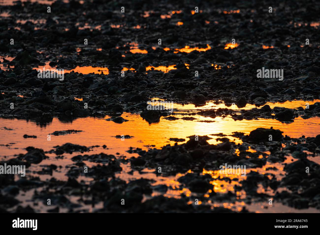 Orange leuchtet bei Sonnenuntergang von der niedrigen Sonne und spiegelt sich im Meerwasser an einem Kieselstrand. Stockfoto