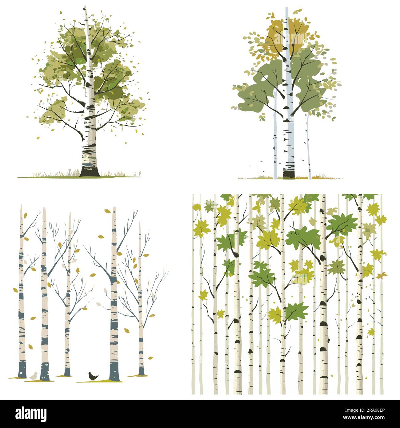 Ein Set aus der Vektorsammlung „Flat Birch Tree“ Stock Vektor