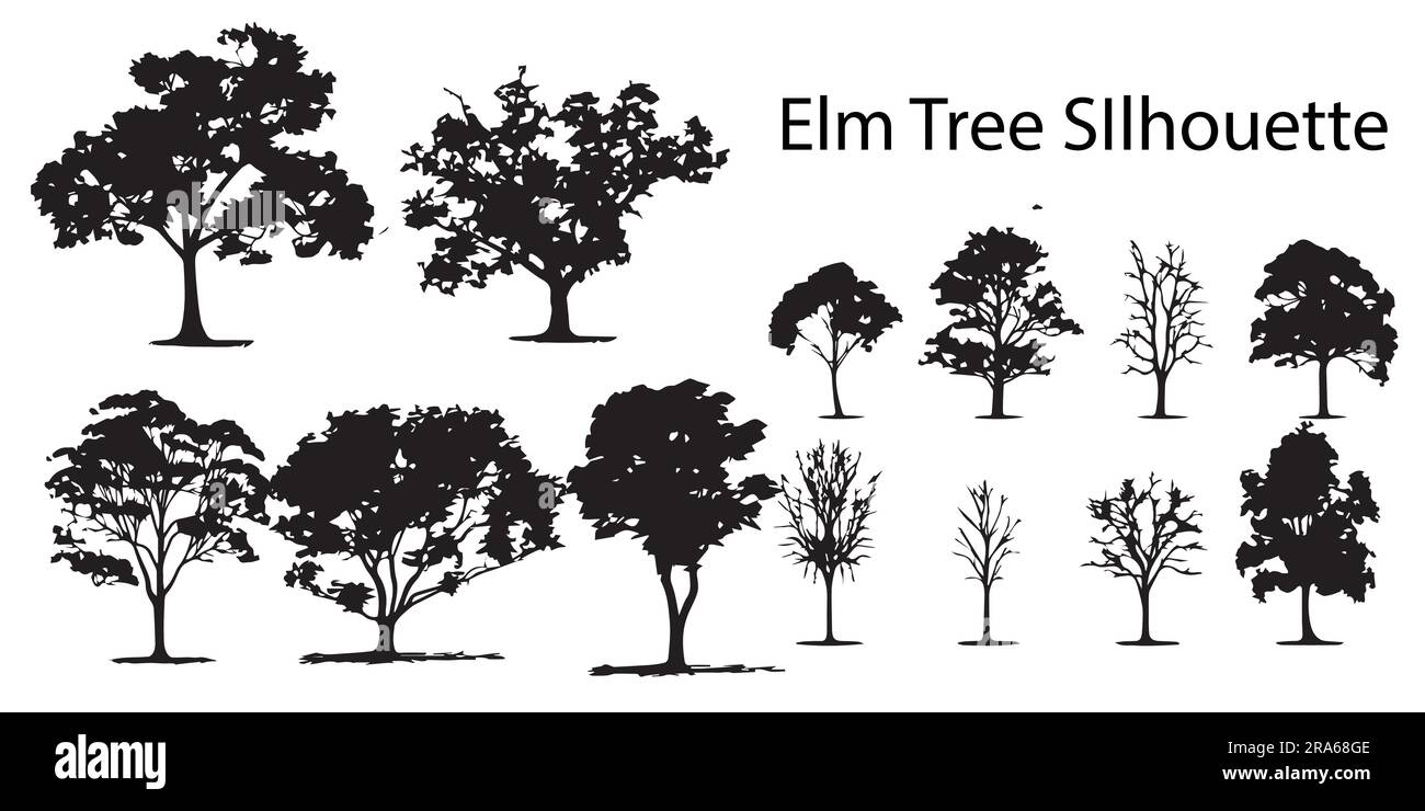 Eine Kollektion aus dem Vektordesign „Silhouette Elm Tree“ Stock Vektor