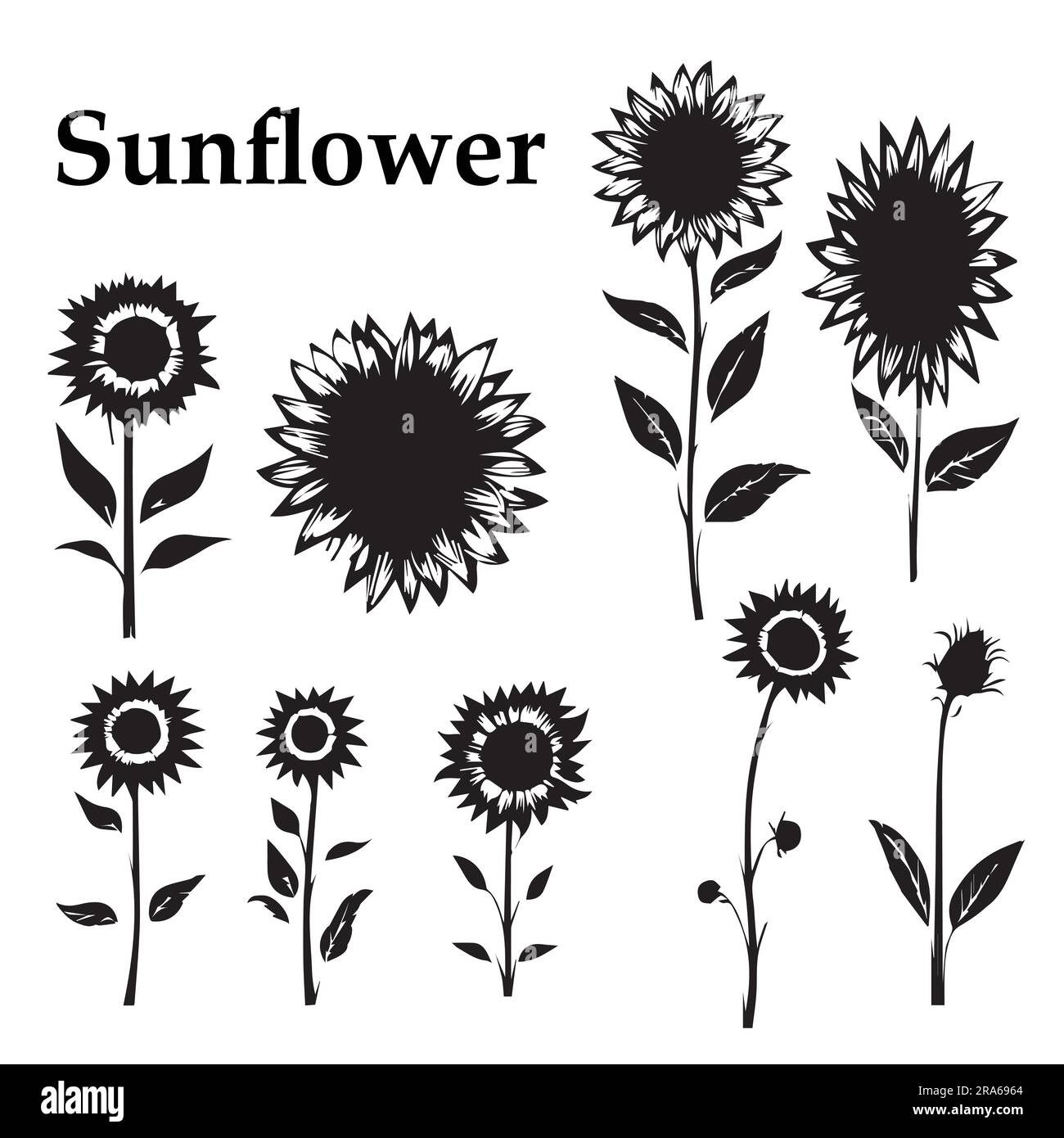 Ein Satz Sonnenblumen-Silhouetten-Vektorbilder Stock Vektor