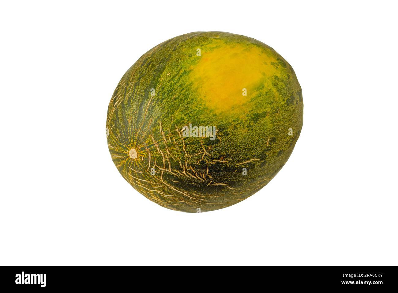 Reife, süße ganze Melone mit rissiger Haut, isoliert auf weiß. Cucumis melo dunkelgrüne Pfefferminze mit gelbem Feldfleck. Stockfoto