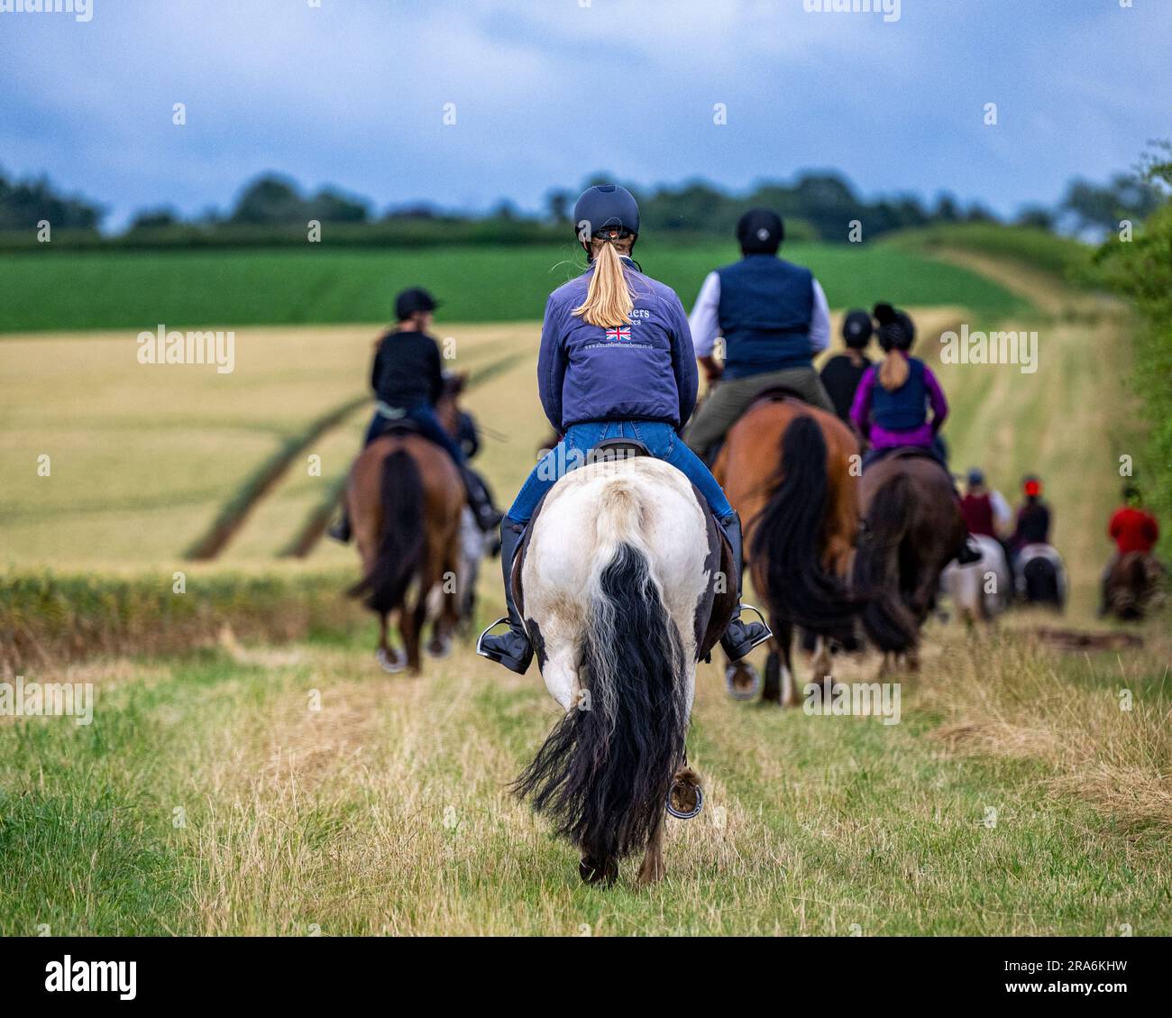 Eine Gruppe von Reitern an einem Sommerabend, um von einem reifenden Maisfeld vor einem dunklen Himmel zu hacken Stockfoto