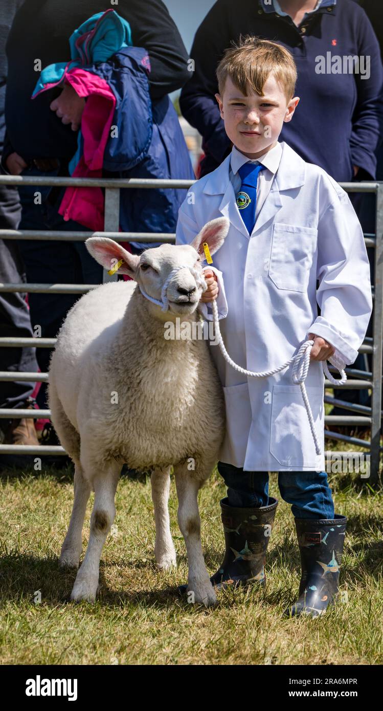 East Lothian, Schottland, Vereinigtes Königreich, 1. Juli 2023. Haddington Agricultural Show: Die Veranstaltung findet seit 1804 statt. Die Teilnehmer genossen einen sonnigen Tag. Abbildung: Die jungen Handler wetteifern mit einem Jungen, der seine Schafe festhält. Kredit: Sally Anderson/Alamy Live News Stockfoto